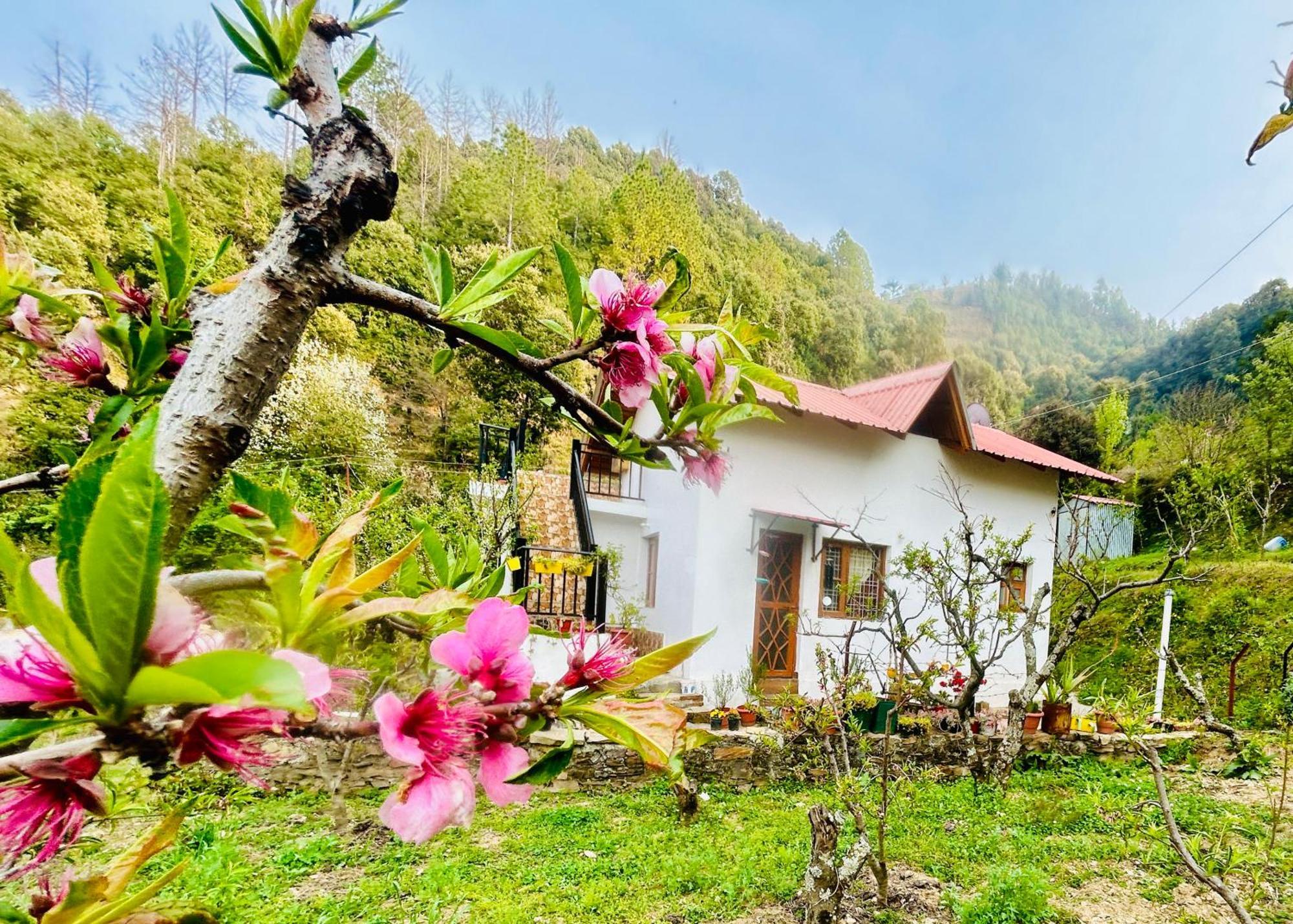 Love'S Farm, Cottage In Ramgarh Ngoại thất bức ảnh